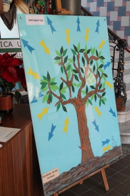 Un arbre de suro de l'Escola Bellavista-Joan Camps