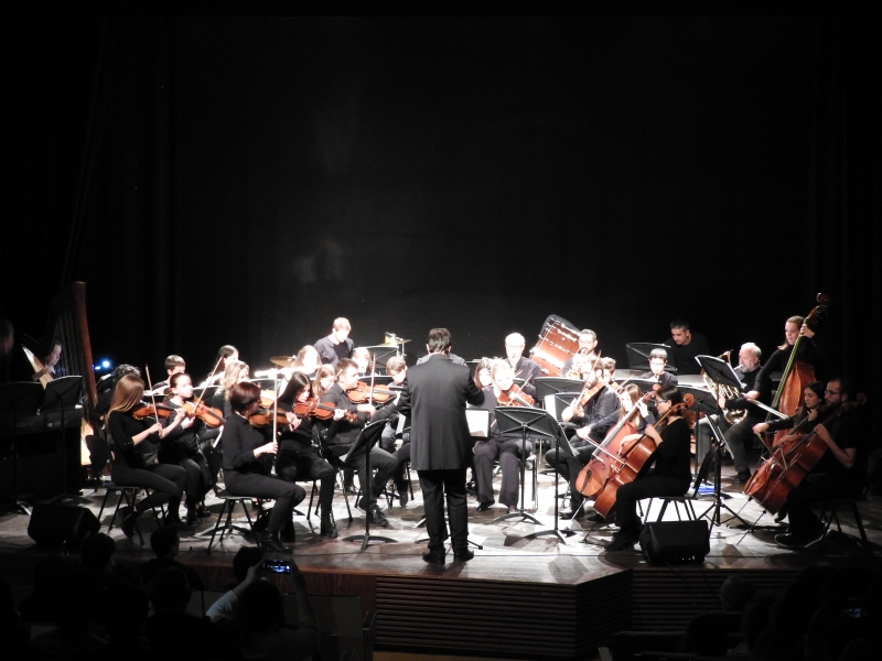 L'Orquestra Jove, al concert de La Mitja