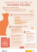 Infografia colònies felines