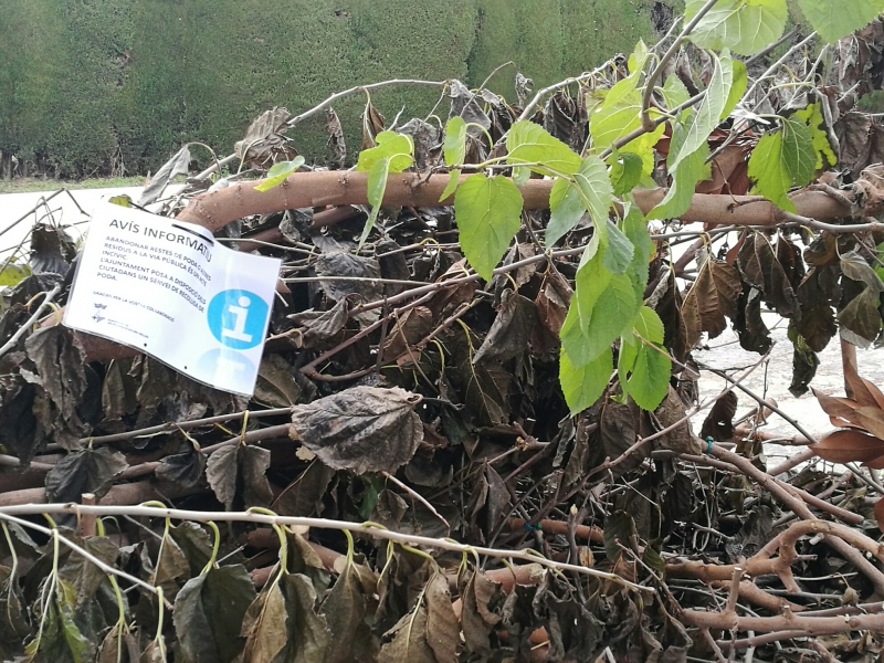Abocament incontrolat de restes de poda trobades a Milpins