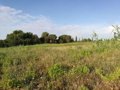 Terrenys de Can Santa Digna classificats com a zona verda i d'equipaments